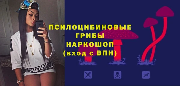 дживик Алексин