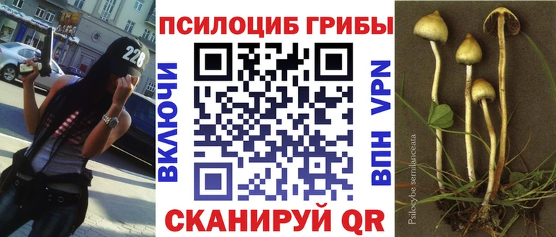 кракен ONION  Набережные Челны  Псилоцибиновые грибы прущие грибы 
